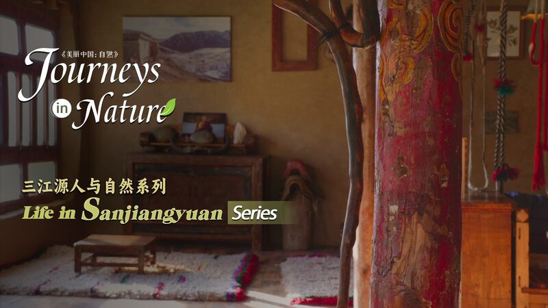 Jianzuo_Village_Leads_Zero-Waste_Movement_on_Qinghai-Xizang_Plateau_poster - Khabar Asia Jianzuo Village Leads Zero-Waste Movement on Qinghai-Xizang Plateau video poster