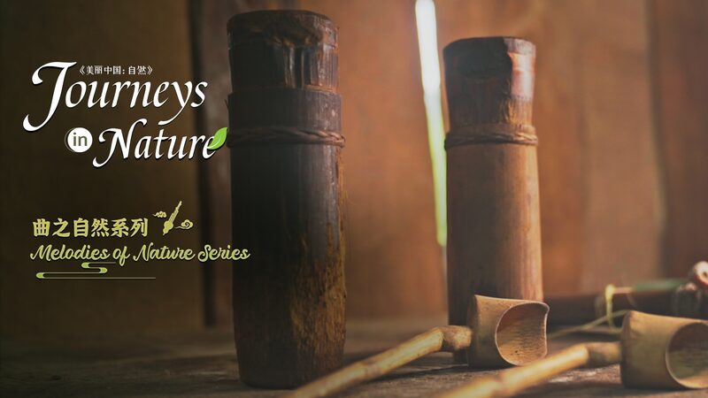 Jinuo_People_Preserve_Bamboo_Music_Traditions_in_Yunnans_Mountains_poster - Khabar Asia Jinuo People Preserve Bamboo Music Traditions in Yunnan's Mountains video poster