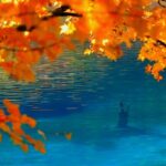Jiuzhaigou_s_Autumn_Splendor_Unveiled__Now_Just_2_Hours_from_Chengdu video poster