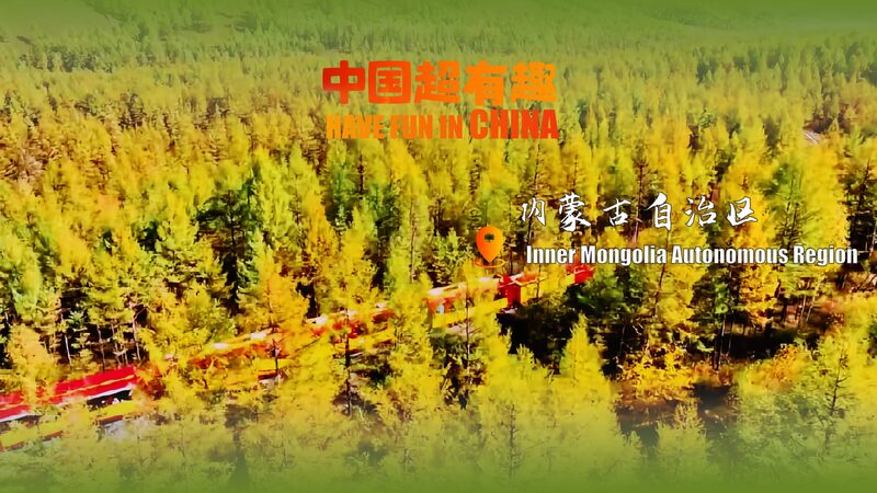 Journey_Through_Moerdaoga_s_Autumn_Splendor video poster