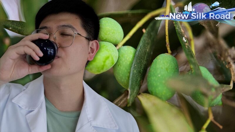 Journey into Greek Olive Oil: CGTN's Gou Tianqi Explores Crete's Liquid Gold video poster