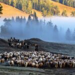 Journey to Altay: 'To the Wonder' Showcases Xinjiang's Hidden Gem