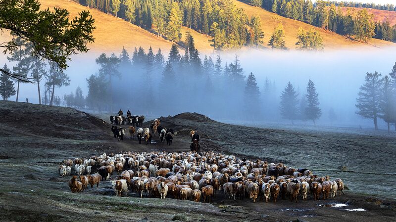 Journey_to_Altay_To_the_Wonder_Showcases_Xinjiangs_Hidden_Gem - Khabar Asia Journey to Altay: 'To the Wonder' Showcases Xinjiang's Hidden Gem