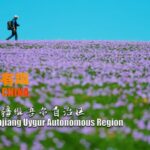 Kalajun_s_Spectacular_Sights__Blossoming_Grasslands_Through_a_Photographer_s_Lens video poster