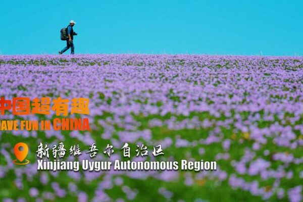 Kalajun’s Spectacular Sights: Blossoming Grasslands Through a Photographer’s Lens Kalajun_s_Spectacular_Sights__Blossoming_Grasslands_Through_a_Photographer_s_Lens video poster