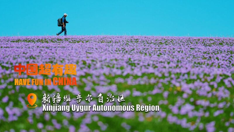Kalajun_s_Spectacular_Sights__Blossoming_Grasslands_Through_a_Photographer_s_Lens_poster - Khabar Asia Kalajun_s_Spectacular_Sights__Blossoming_Grasslands_Through_a_Photographer_s_Lens video poster