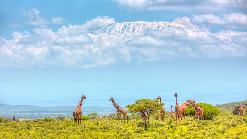 Kenya_Allocates_186_Million_for_Nationwide_2024_Wildlife_Census - Khabar Asia Kenya Allocates $1.86 Million for Nationwide 2024 Wildlife Census