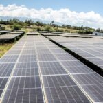 Kenya_Unveils_Plans_to_Launch_Carbon_Market_for_Emission_Trading