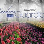 Keukenhof's Blossoms: Europe's Garden Beckons Asian Travelers video poster