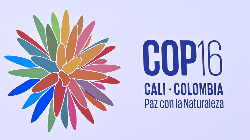 Kunming_Biodiversity_Fund_Approves_9_Projects_at_COP16_in_Colombia - Khabar Asia Kunming_Biodiversity_Fund_Approves_9_Projects_at_COP16_in_Colombia