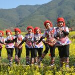 Kunming's Xiangshui Village Beckons with Vibrant Rapeseed Flower Festival