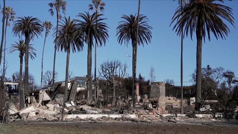 LA_Wildfires_Ignite_Debate_Over_Private_Firefighters_and_Social_Inequality