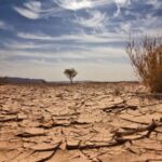 Lack_of_Funding_Hampers_Climate_Efforts_in_Lower_Income_Nations__Study_Finds