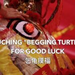 Lantern Festival Tradition: Touching 'Rice Turtles' for Luck and Prosperity video poster