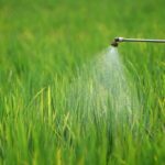 Laos Launches Initiative to Reduce Harmful Pesticide Use