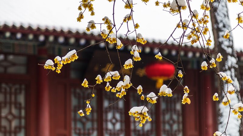 Layue_Embracing_Traditions_in_the_Twelfth_Month_Before_Chinas_Spring_Festival - Khabar Asia Layue: Embracing Traditions in the Twelfth Month Before China's Spring Festival