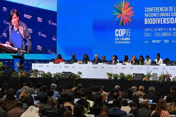 Leaders_Urge_Urgent_Funding_as_COP16_Biodiversity_Talks_Open_in_Colombia
