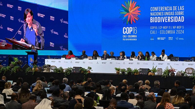 Leaders_Urge_Urgent_Funding_as_COP16_Biodiversity_Talks_Open_in_Colombia - Khabar Asia Leaders_Urge_Urgent_Funding_as_COP16_Biodiversity_Talks_Open_in_Colombia