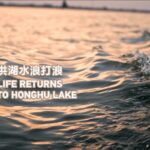 Life Returns to Honghu Lake: Environmental Restoration in Hubei Province video poster