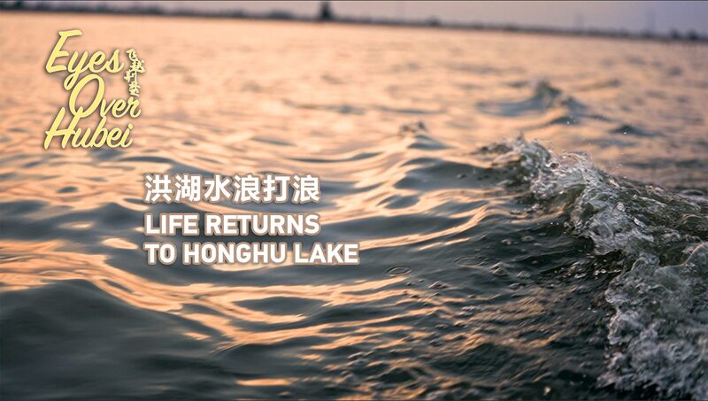 Life_Returns_to_Honghu_Lake_Environmental_Restoration_in_Hubei_Province_poster - Khabar Asia Life Returns to Honghu Lake: Environmental Restoration in Hubei Province video poster