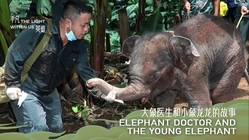 Longlongs_Rescue_The_Elephant_Doctor_Saving_Chinas_Wild_Elephants_poster - Khabar Asia Longlong's Rescue: The 'Elephant Doctor' Saving China's Wild Elephants video poster