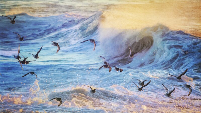Looming_Collapse_of_Atlantic_Currents_Could_Trigger_Global_Climate_Chaos_Impacting_Asia - Khabar Asia Looming Collapse of Atlantic Currents Could Trigger Global Climate Chaos, Impacting Asia