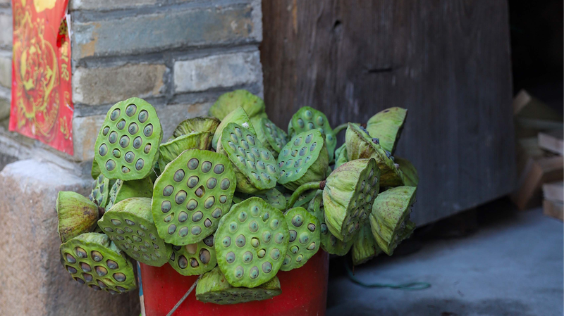 Lotus Seeds: The Symbolic Heart of Wufu Ancient Town in Fujian Province