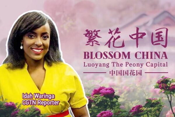 Luoyang’s Peony Festival Blossoms with Millions of Tourists Luoyang's Peony Festival Blossoms with Millions of Tourists video poster
