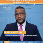 MSMEs_Drive_Global_Trade_and_Innovation__WTO_Highlights_at_China_Expo video poster