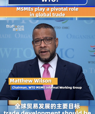 MSMEs Drive Global Trade and Innovation: WTO Highlights at China Expo MSMEs_Drive_Global_Trade_and_Innovation__WTO_Highlights_at_China_Expo video poster