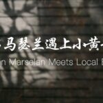 Ma Liang's Odyssey: Pairing Ningxia Wine with Chinese Cuisine video poster