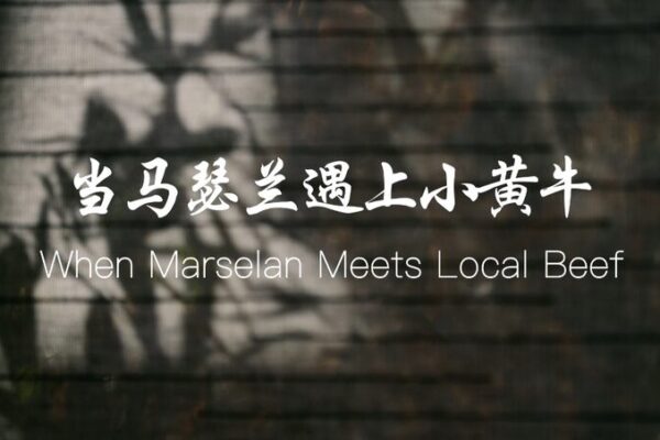 Ma Liang’s Odyssey: Pairing Ningxia Wine with Chinese Cuisine Ma Liang's Odyssey: Pairing Ningxia Wine with Chinese Cuisine video poster