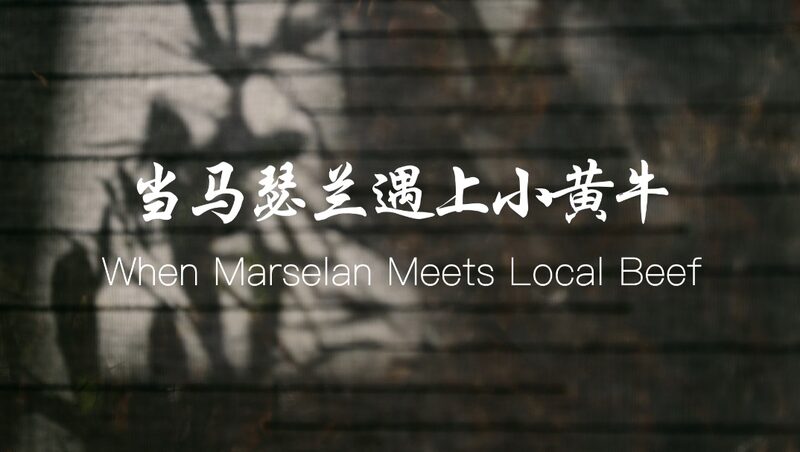 Ma Liang's Odyssey: Pairing Ningxia Wine with Chinese Cuisine video poster