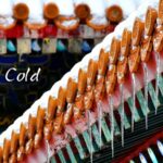 Major_Cold__The_Last_Solar_Term_Ushers_in_a_New_Beginning