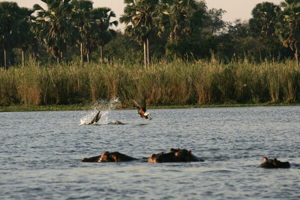 Malawi’s Progress in Biodiversity Conservation Praised by UN Official Malawi's Progress in Biodiversity Conservation Praised by UN Official