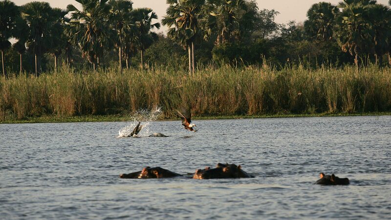Malawis_Progress_in_Biodiversity_Conservation_Praised_by_UN_Official - Khabar Asia Malawi's Progress in Biodiversity Conservation Praised by UN Official