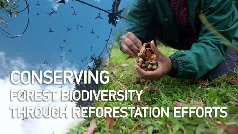 Malaysia_Unites_in_Reforestation_to_Save_Forest_Biodiversity - Khabar Asia Malaysia_Unites_in_Reforestation_to_Save_Forest_Biodiversity