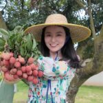 Maoming's Millennium-Old Litchi Orchard: Harvesting 2,000 Years of History video poster