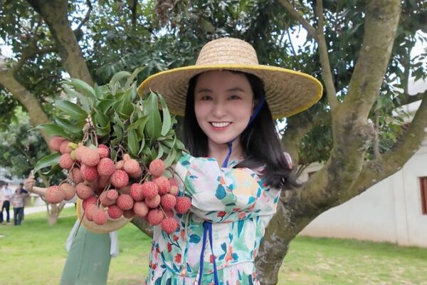 Maoming’s Millennium-Old Litchi Orchard: Harvesting 2,000 Years of History Maoming's Millennium-Old Litchi Orchard: Harvesting 2,000 Years of History video poster