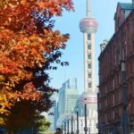 Maple Trees Illuminate Shanghai's Bund in Autumn Splendor