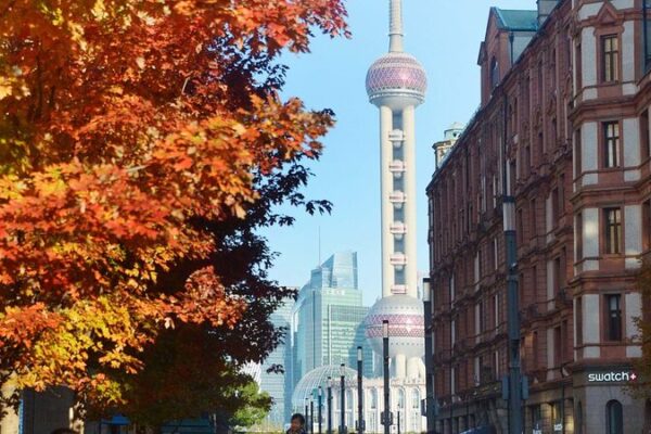 Maple Trees Illuminate Shanghai’s Bund in Autumn Splendor Maple Trees Illuminate Shanghai's Bund in Autumn Splendor