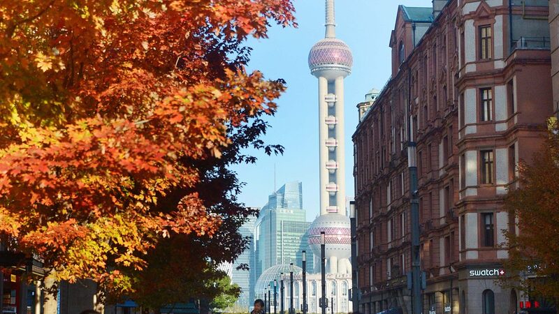 Maple_Trees_Illuminate_Shanghais_Bund_in_Autumn_Splendor - Khabar Asia Maple Trees Illuminate Shanghai's Bund in Autumn Splendor