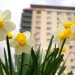 March Hits 10th Consecutive Month of Record-Breaking Global Heat