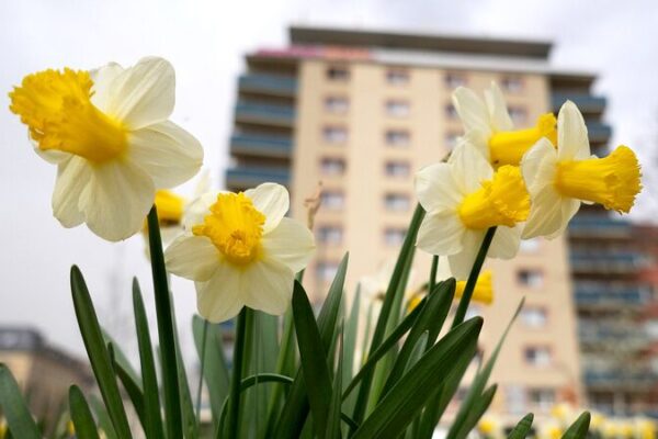 March Hits 10th Consecutive Month of Record-Breaking Global Heat