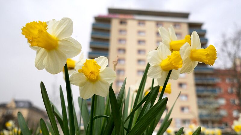 March_Hits_10th_Consecutive_Month_of_Record-Breaking_Global_Heat - Khabar Asia March Hits 10th Consecutive Month of Record-Breaking Global Heat