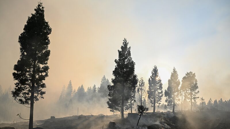 Massive_Wildfires_Across_Western_U_S__Intensify_as_Adverse_Weather_Looms - Khabar Asia Massive_Wildfires_Across_Western_U_S__Intensify_as_Adverse_Weather_Looms