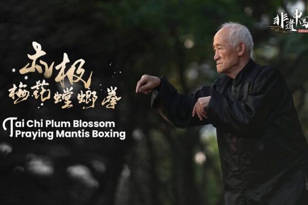 Master Sun Delong: A Life Dedicated to Tai Chi Plum Blossom Praying Mantis Boxing Master_Sun_Delong__A_Life_Dedicated_to_Tai_Chi_Plum_Blossom_Praying_Mantis_Boxing