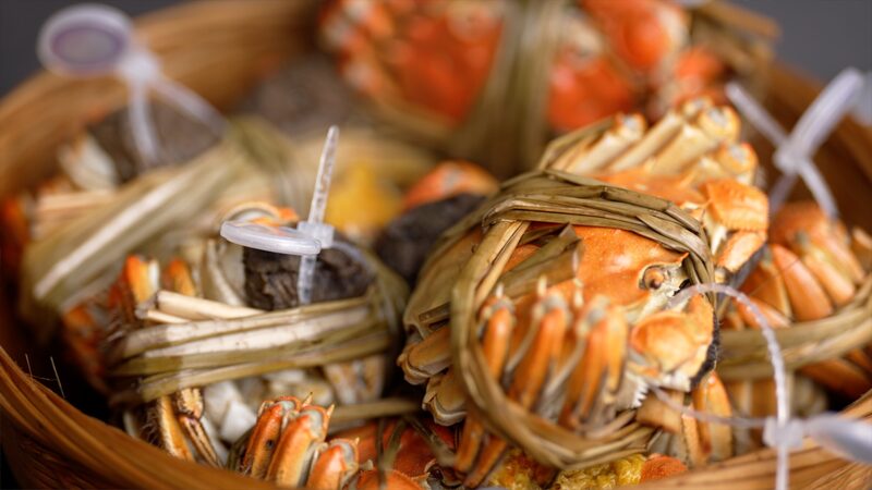 Mastering_the_Art_of_Eating_Hairy_Crab__A_Pro_s_Guide_poster - Khabar Asia Mastering_the_Art_of_Eating_Hairy_Crab__A_Pro_s_Guide video poster