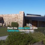 Meet_Silicon_Valley_s_AI_House__One_Technologist_s_AI_Powered_Life