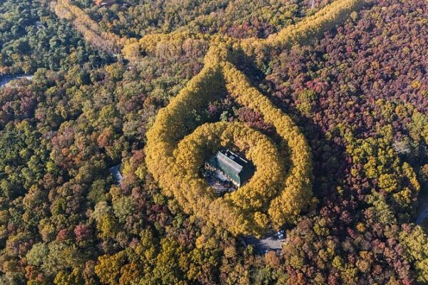Meiling Palace: Nanjing’s Necklace of Nature and Architectural Elegance Meiling Palace: Nanjing's Necklace of Nature and Architectural Elegance